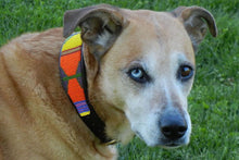 Circus Beaded Dog Collar