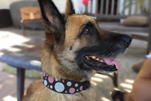 Pink Dot Beaded Dog Collar