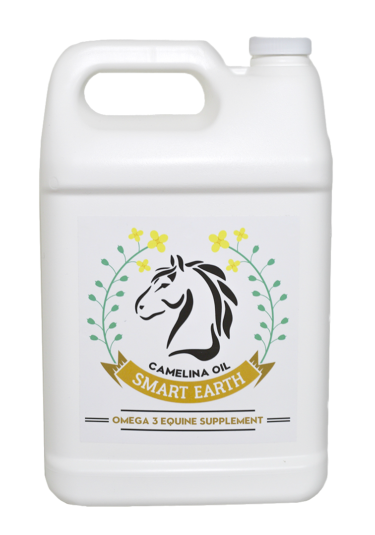 Camelina oil - 3.78L (with pump)
